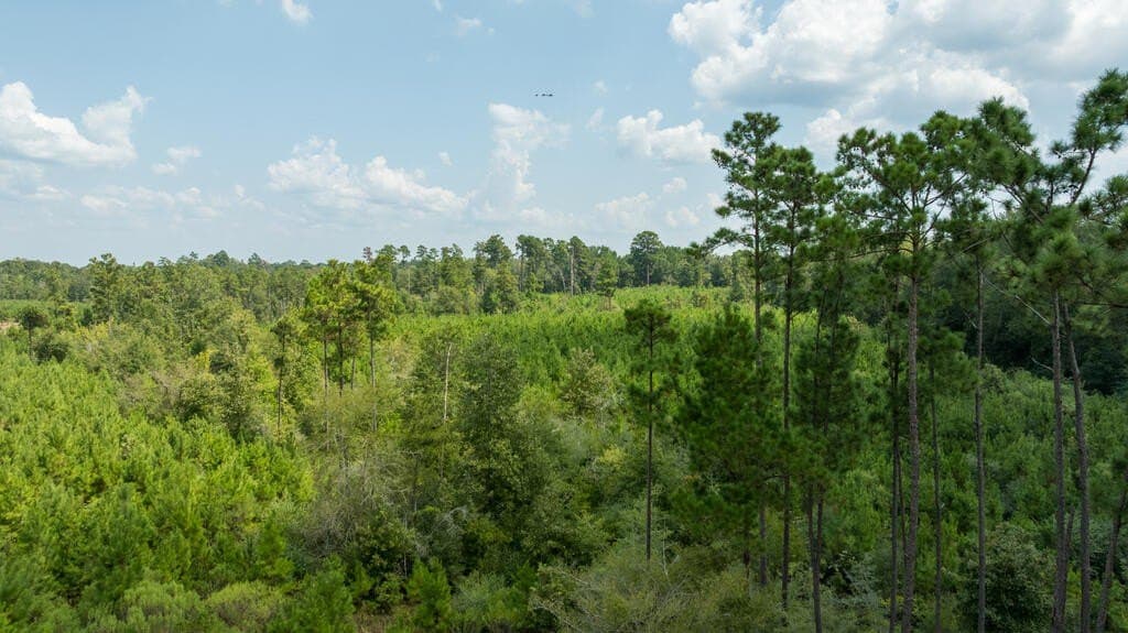74.32 acres in Texas County - photo 26
