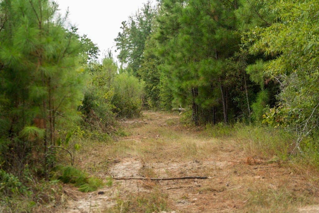 74.32 acres in Texas County - photo 13
