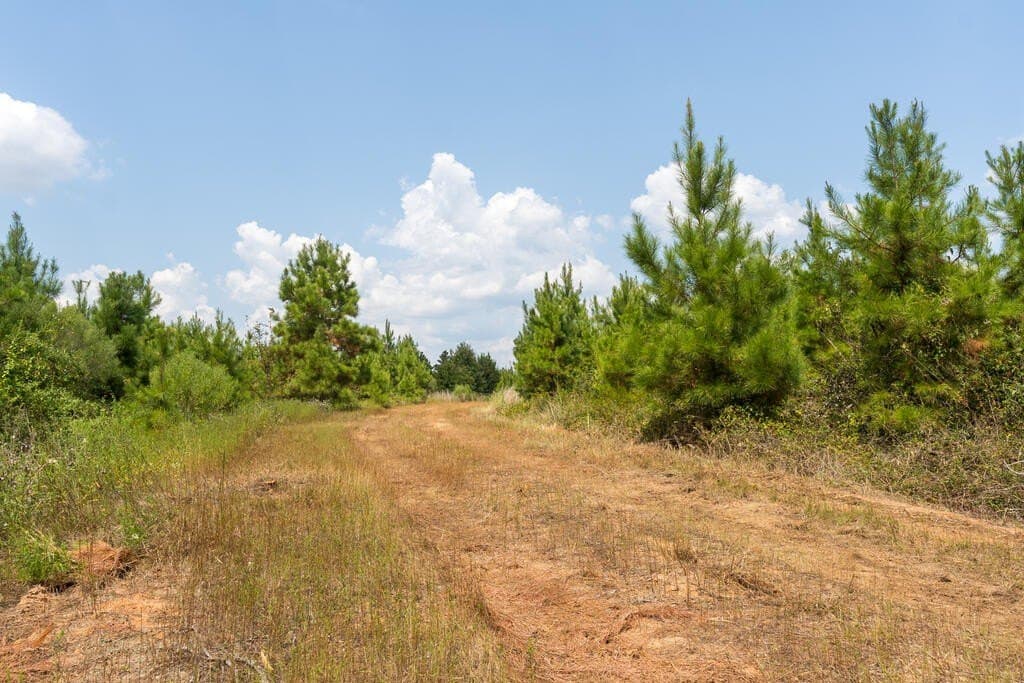 74.32 acres in Texas County - photo 5