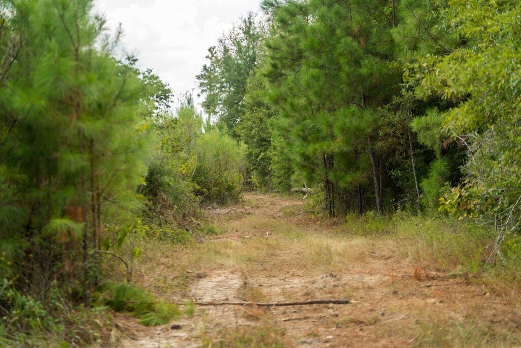 74.32 acres in Texas County - photo 14