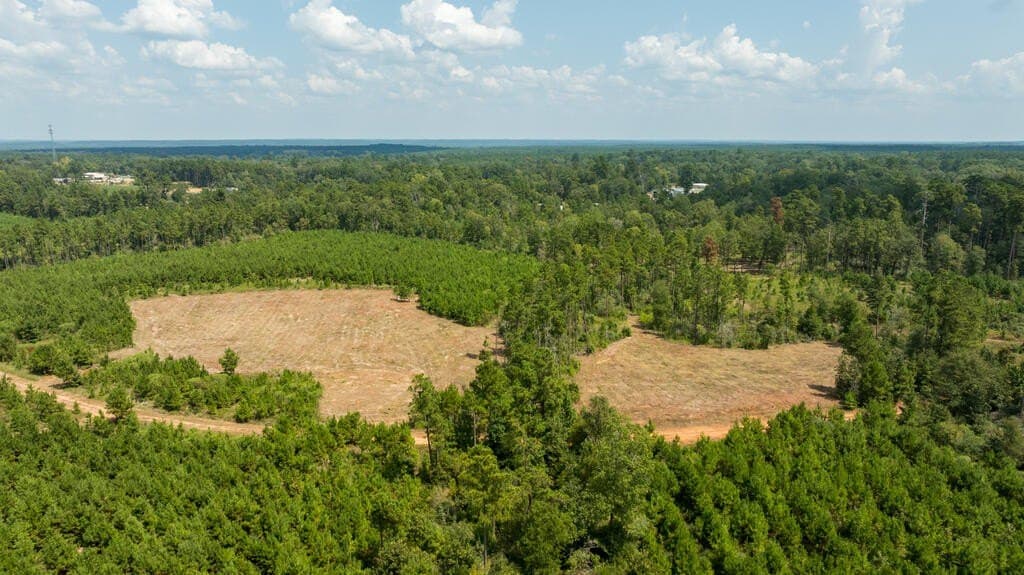 74.32 acres in Texas County - photo 29