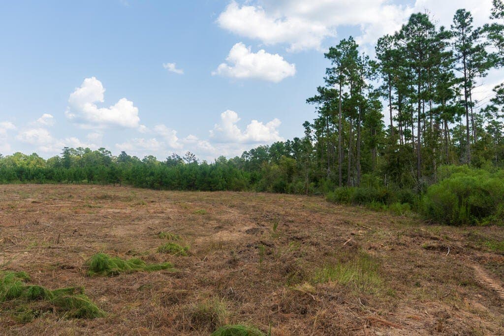 74.32 acres in Texas County - photo 2