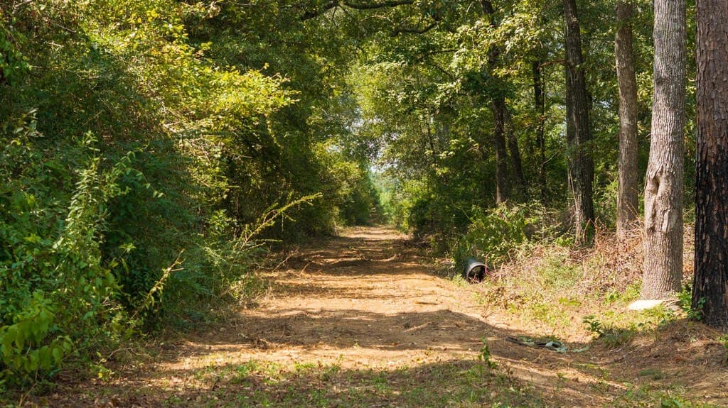 74.32 acres in Texas County - photo 23