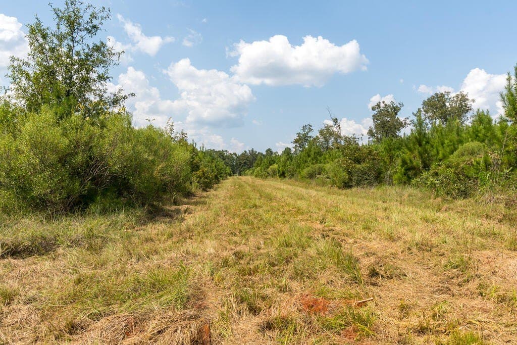 74.32 acres in Texas County - photo 8
