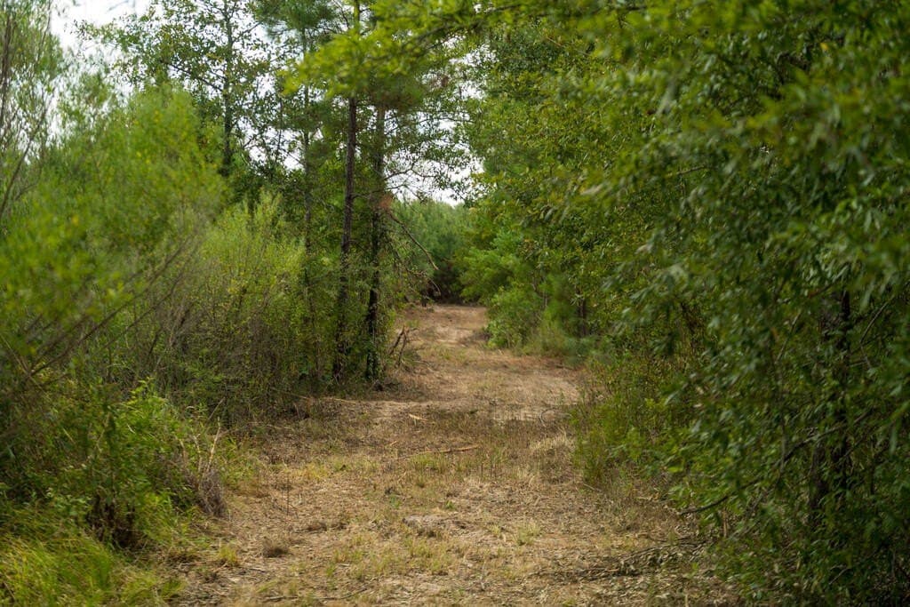 74.32 acres in Texas County - photo 18