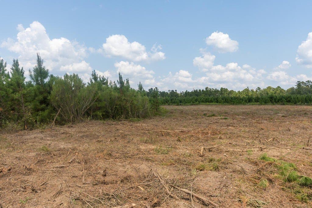 74.32 acres in Texas County - photo 3