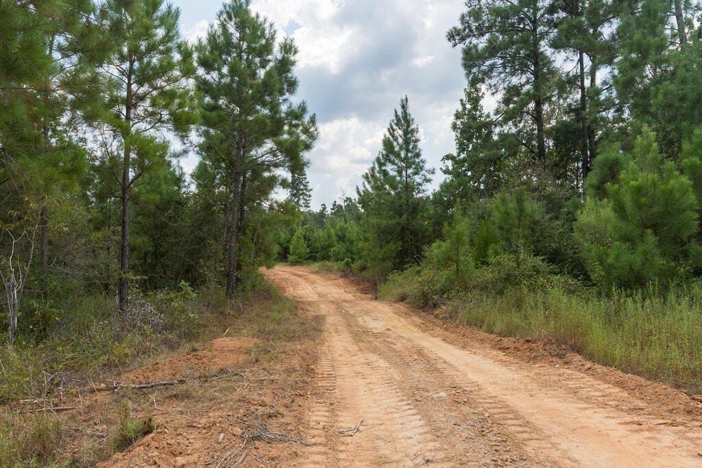 74.32 acres in Texas County - photo 22