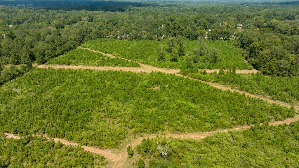 74.32 acres in Texas County - photo 34