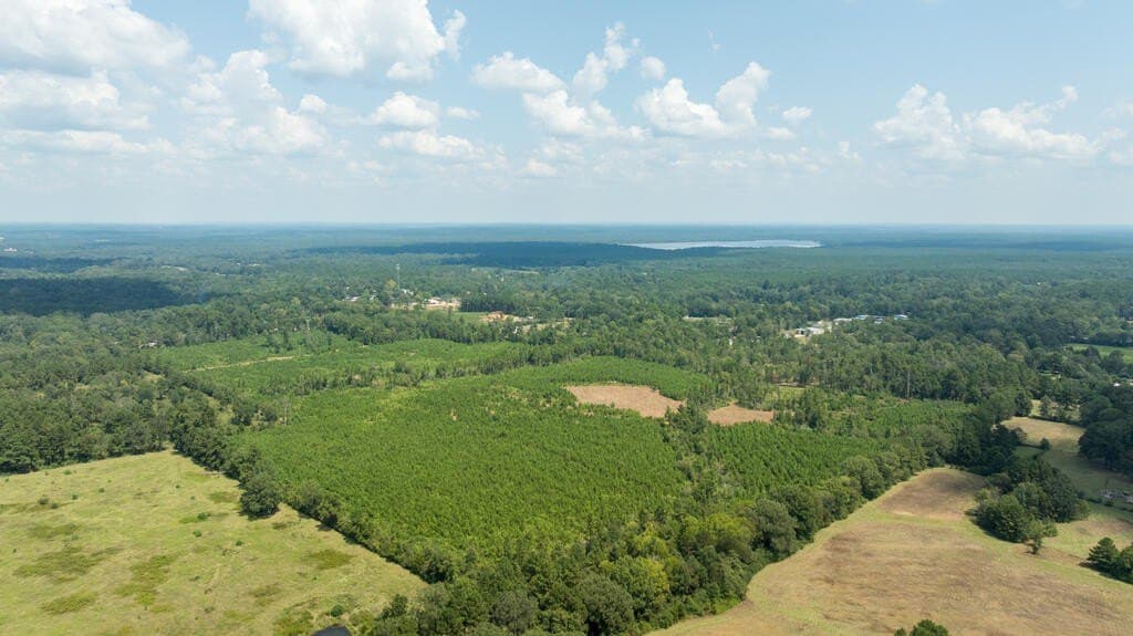 74.32 acres in Texas County - photo 25