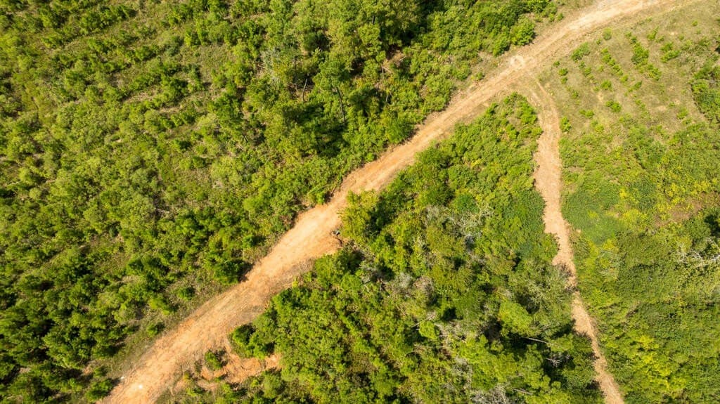 74.32 acres in Texas County - photo 33