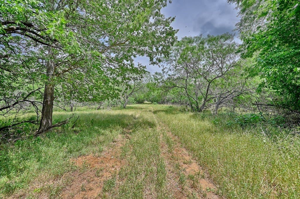 107.46 acres in Bastrop County gallery image 4