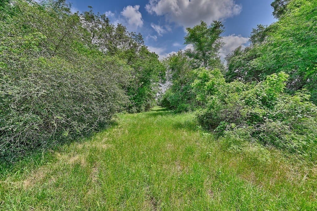 107.46 acres in Bastrop County featured view
