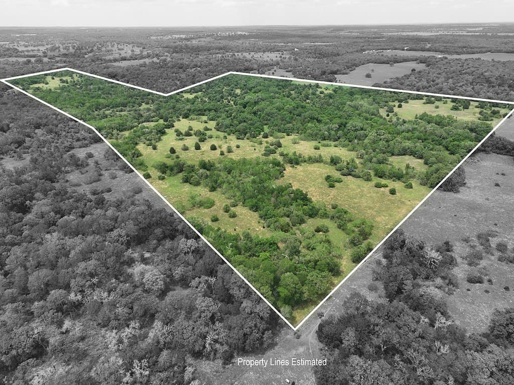 107.46 acres in Bastrop County gallery image 3