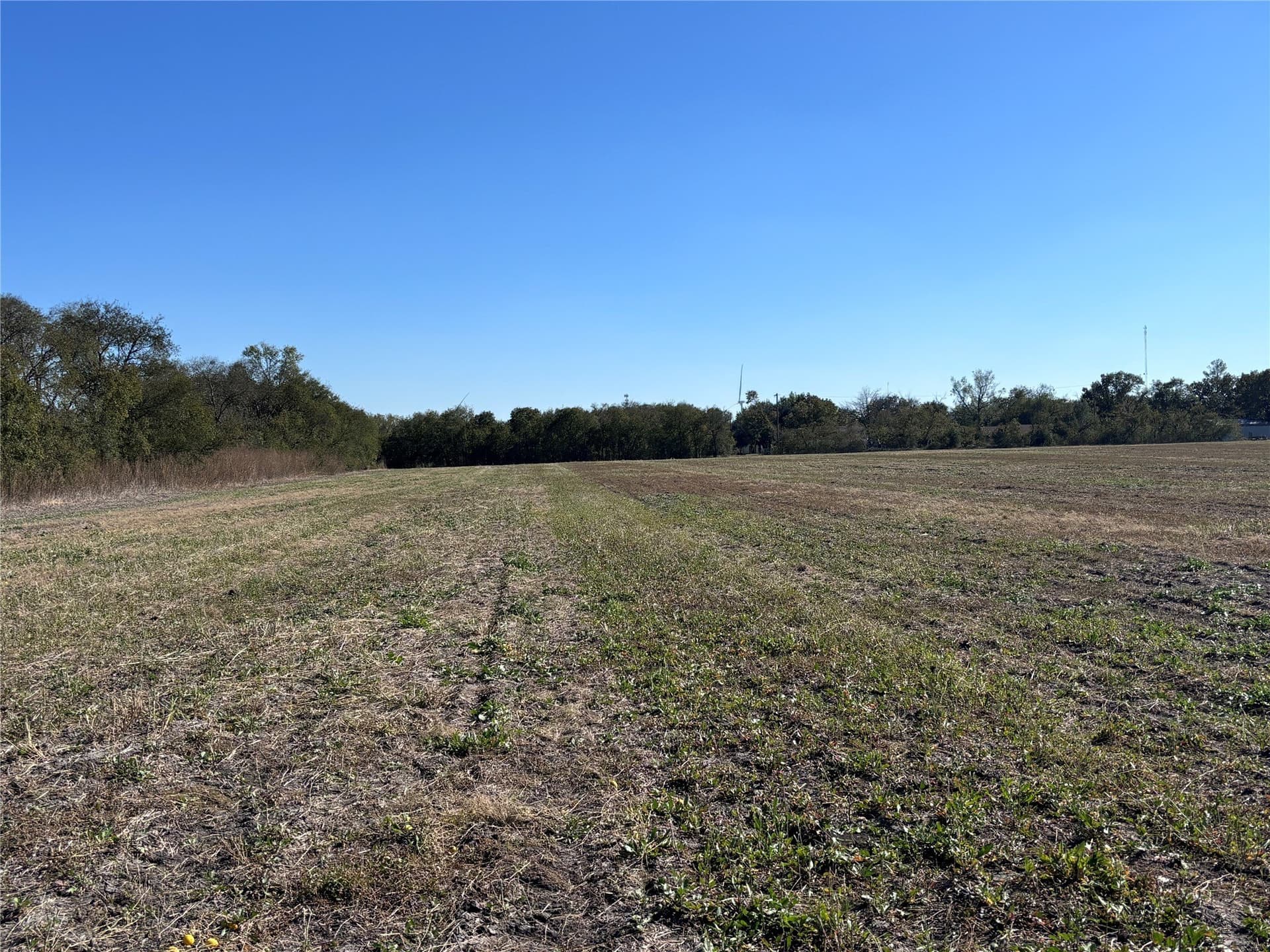 3.87 acres in Limestone County gallery image 2