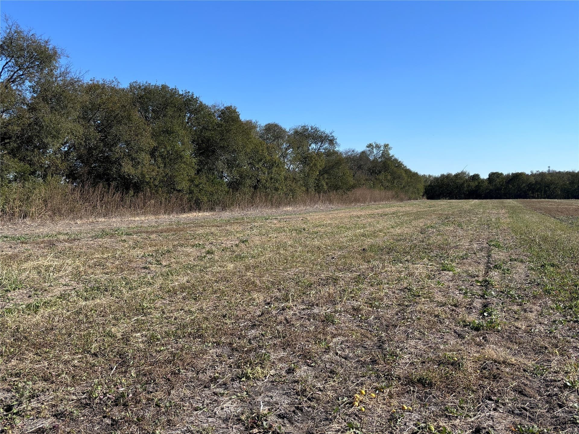 3.87 acres in Limestone County
