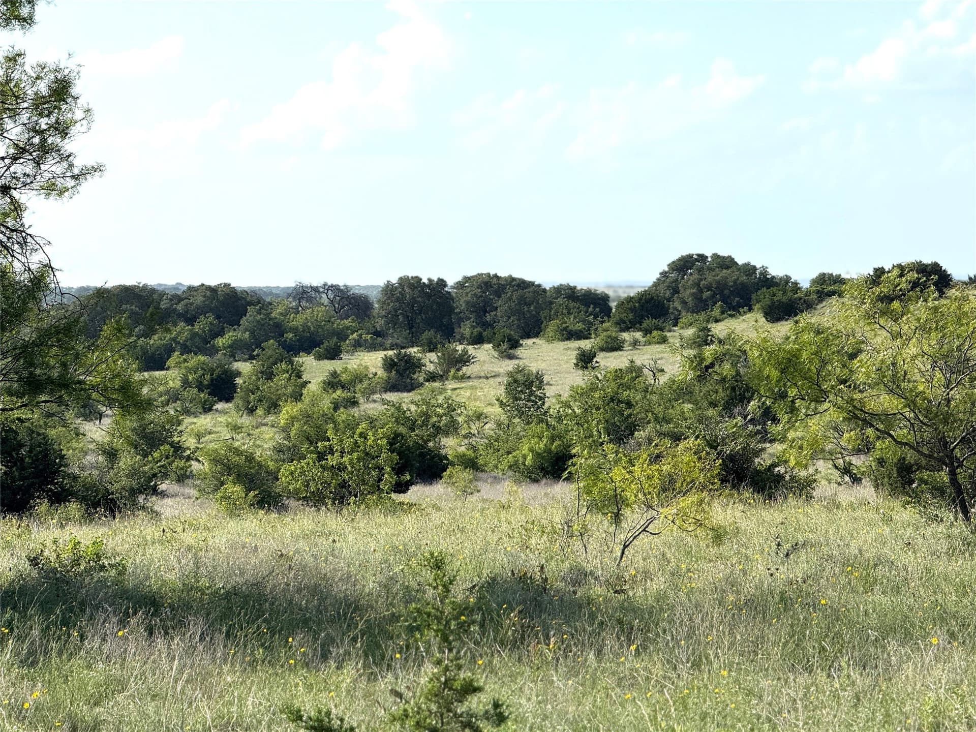 113 acres in Hamilton County - photo 5
