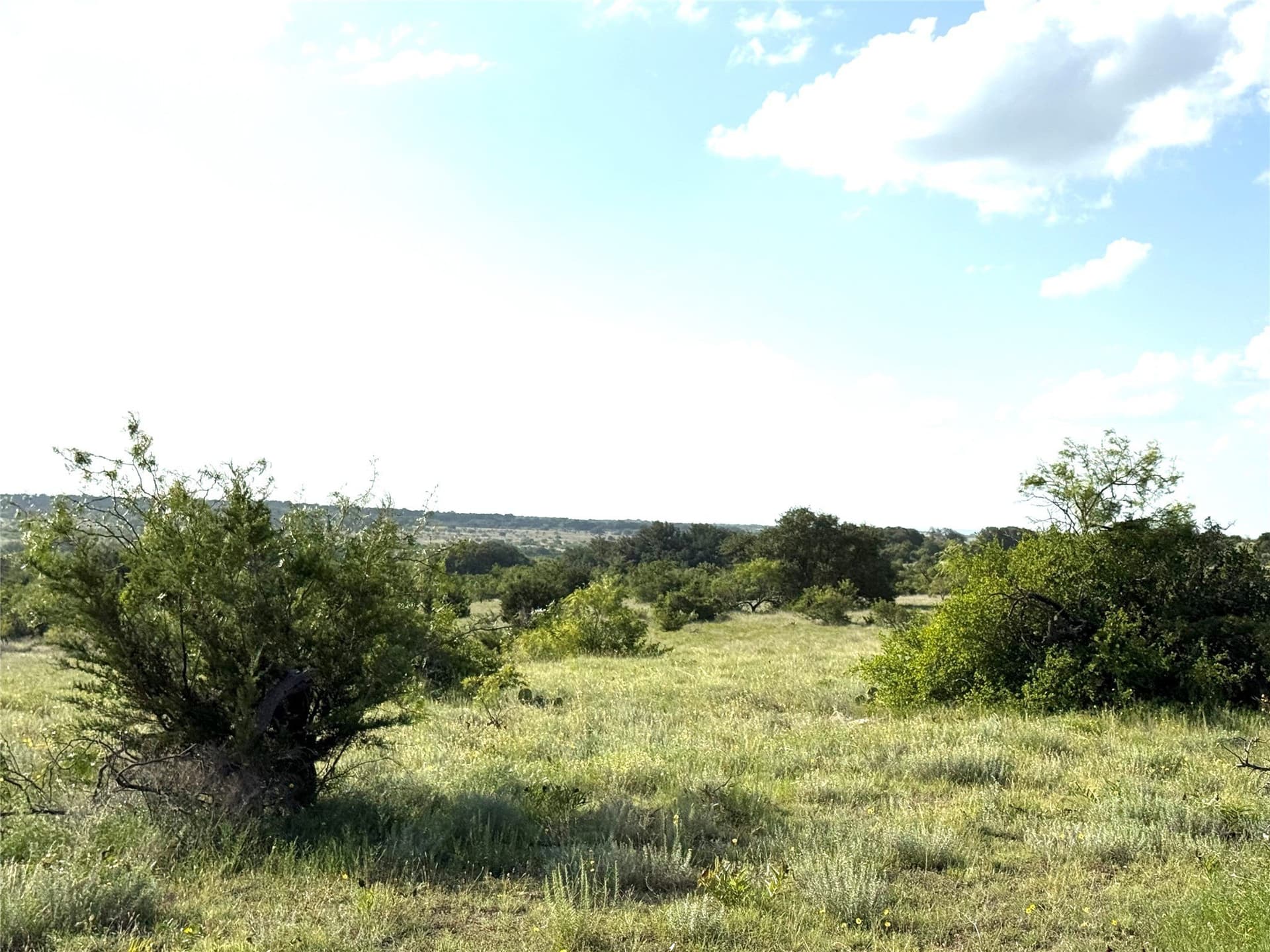 113 acres in Hamilton County - photo 7