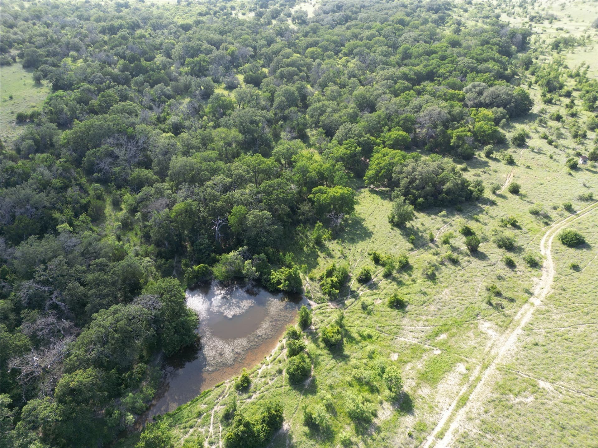 113 acres in Hamilton County - photo 4
