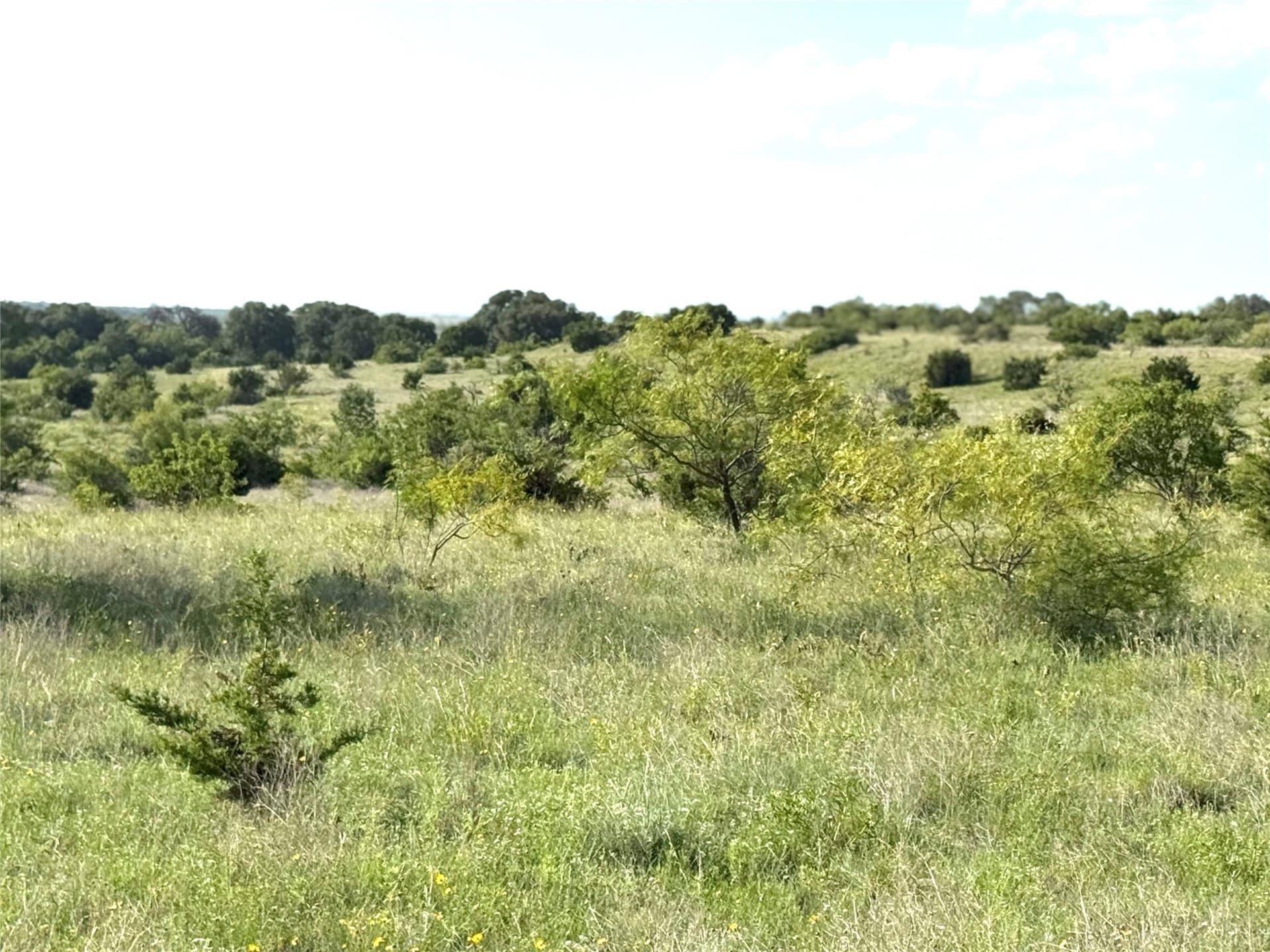 113 acres in Hamilton County - photo 6
