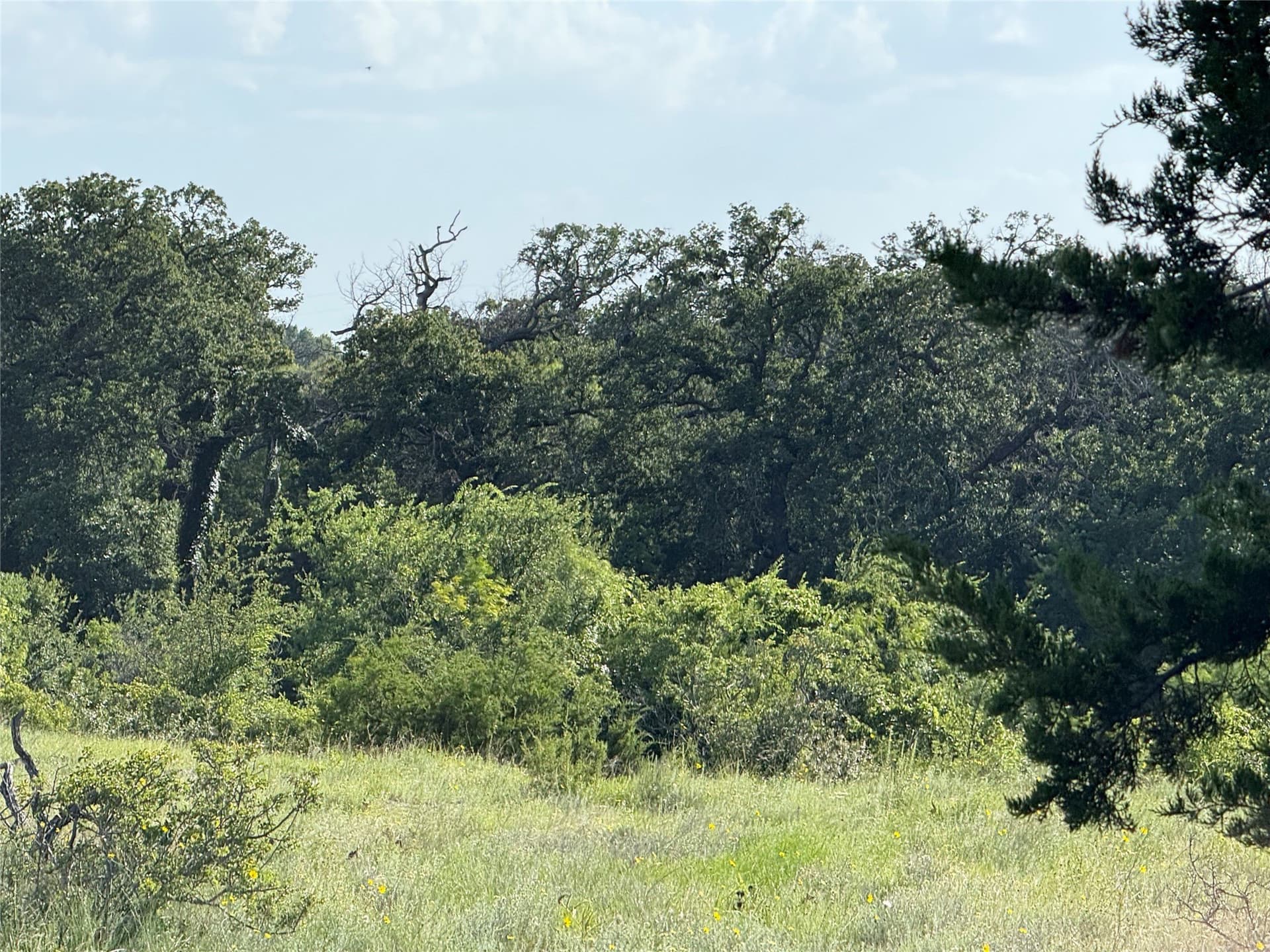 113 acres in Hamilton County - photo 8