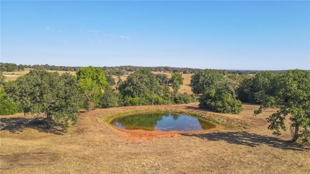 10.23 acres in Burleson County gallery image 2