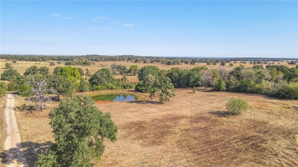 10.23 acres in Burleson County gallery image 4