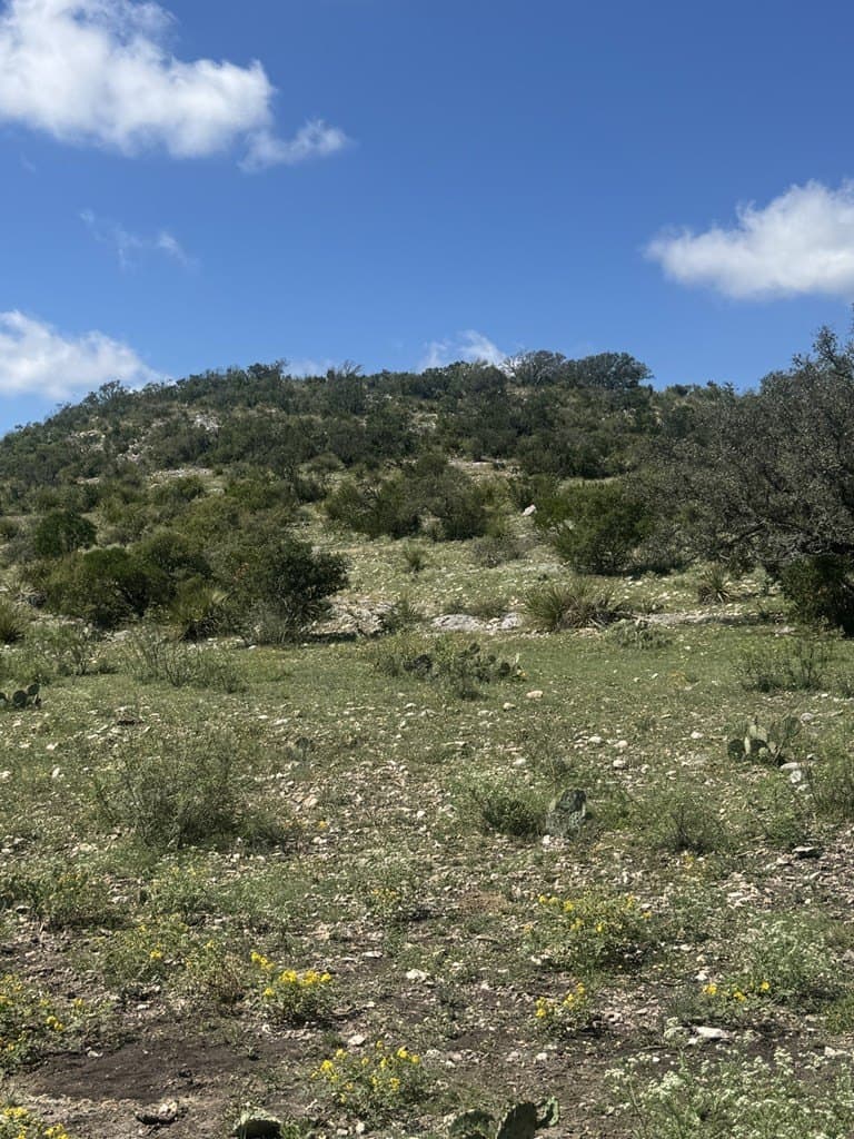 48.04 acres in Texas County - photo 24