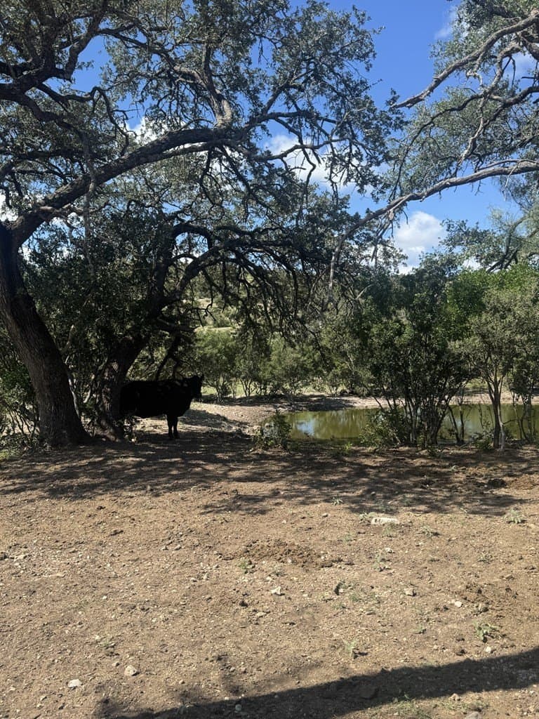 48.04 acres in Texas County - photo 15