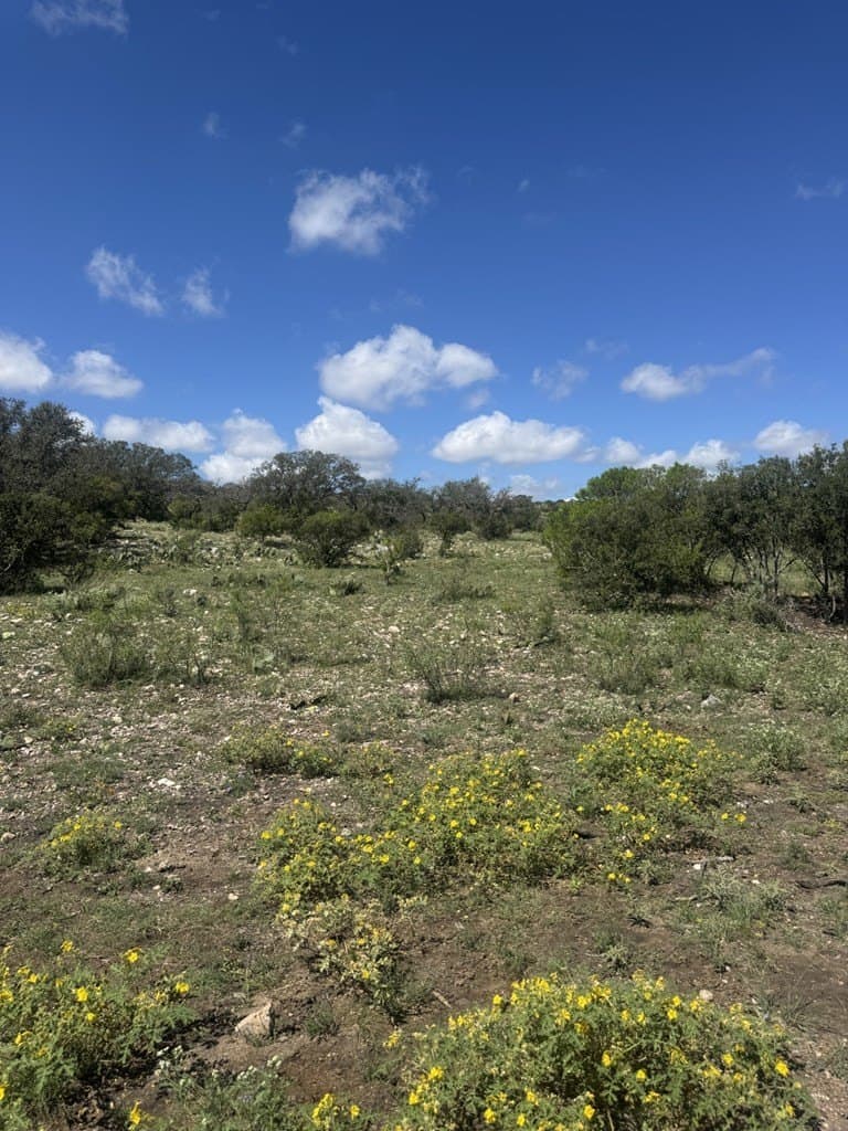 48.04 acres in Texas County - photo 22