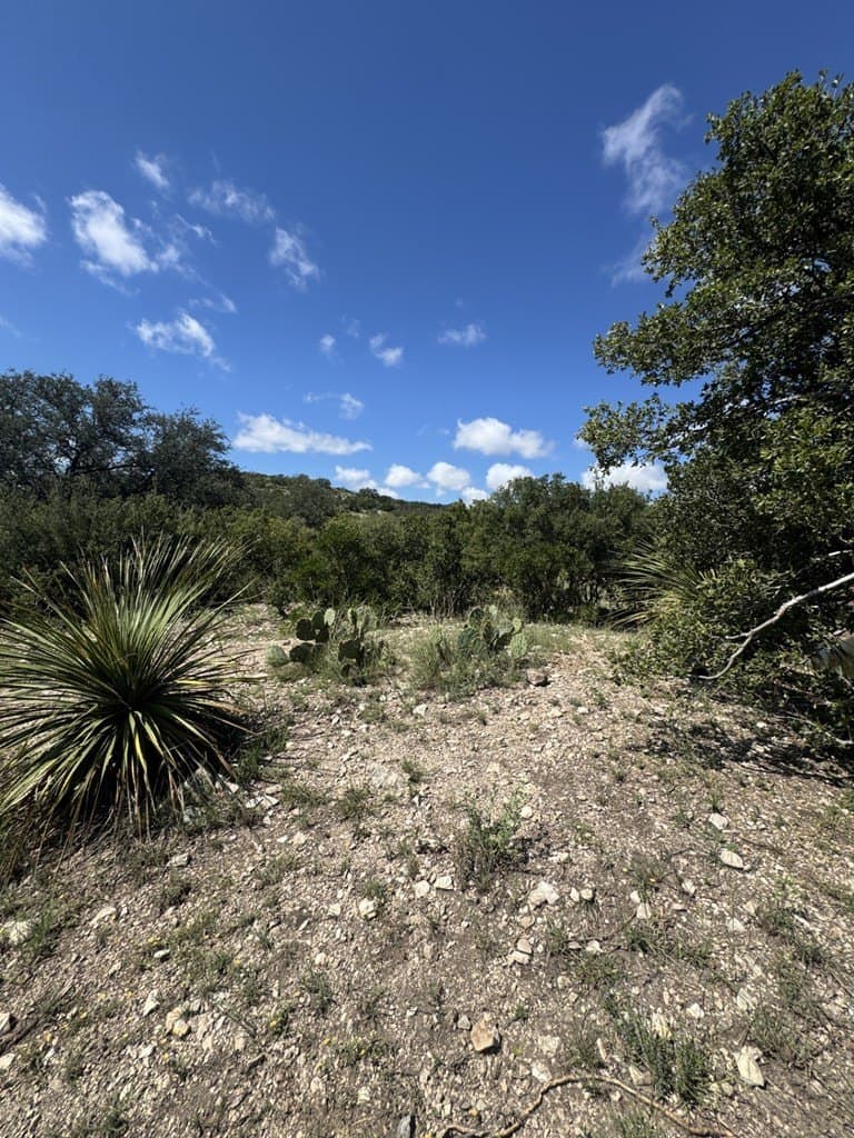 48.04 acres in Texas County - photo 20