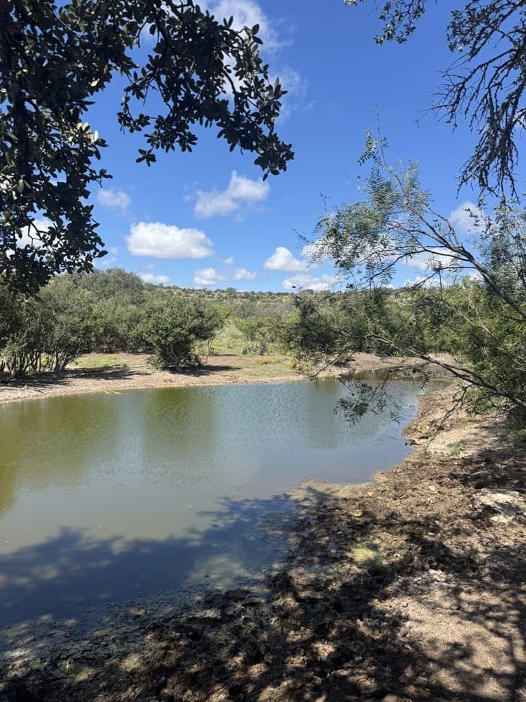 48.04 acres in Texas County - photo 2