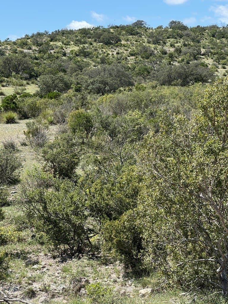 48.04 acres in Texas County - photo 29