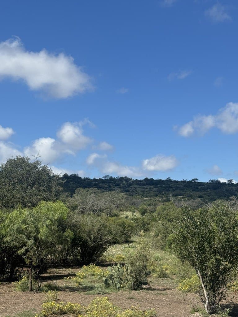 48.04 acres in Texas County - photo 16
