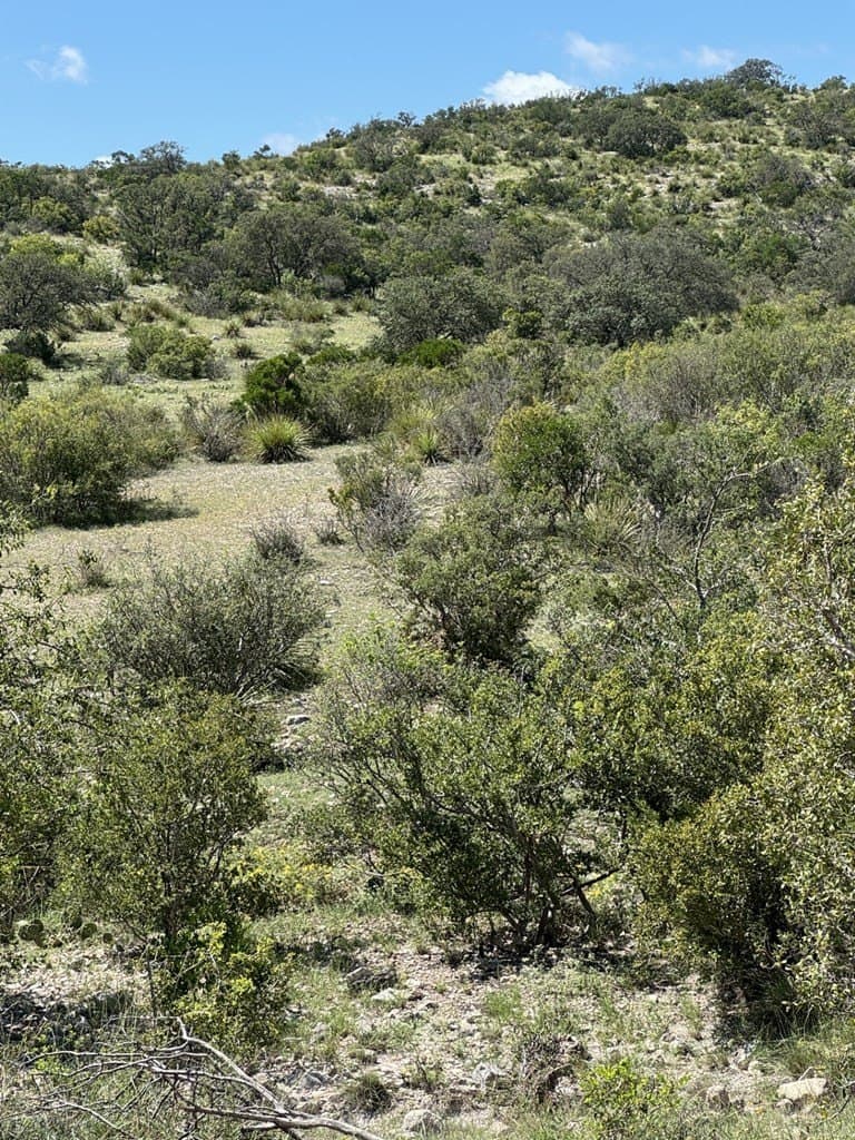 48.04 acres in Texas County - photo 5