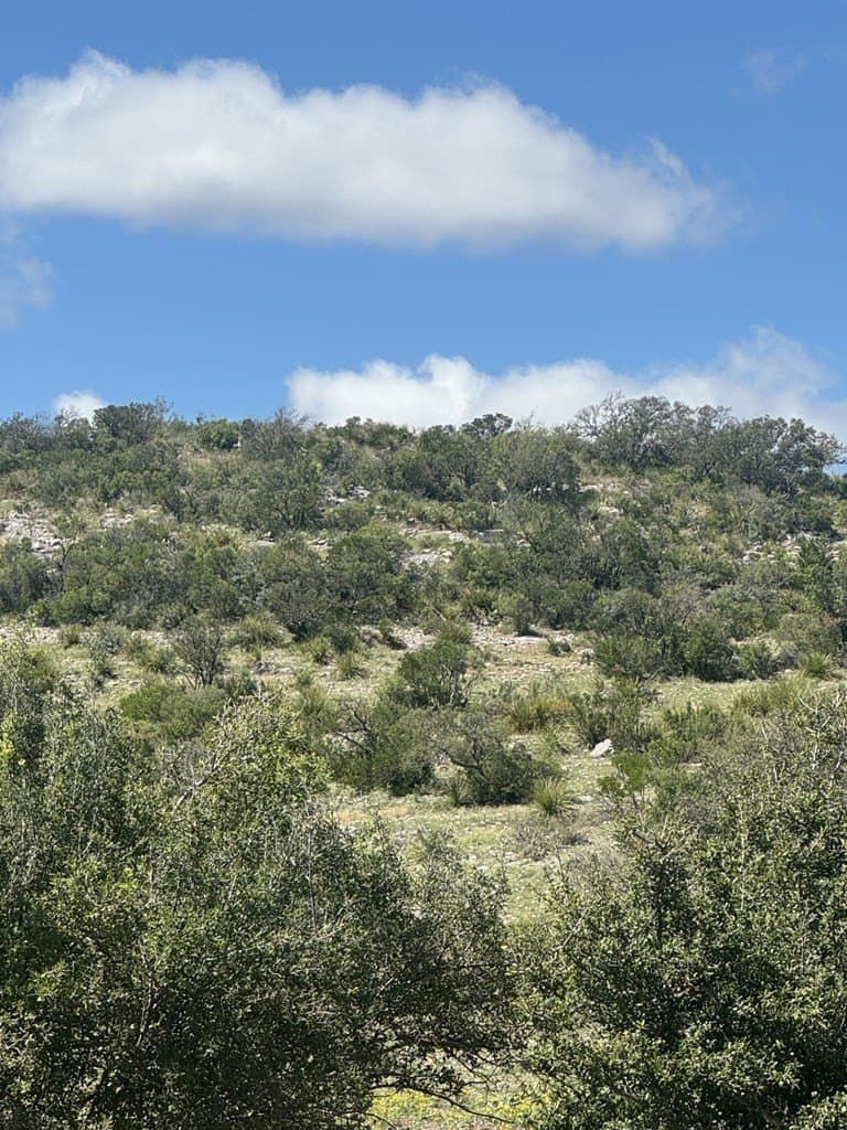 48.04 acres in Texas County - photo 3