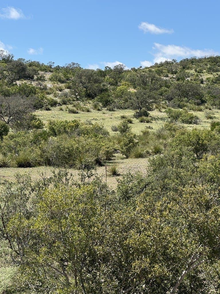 48.04 acres in Texas County - photo 28