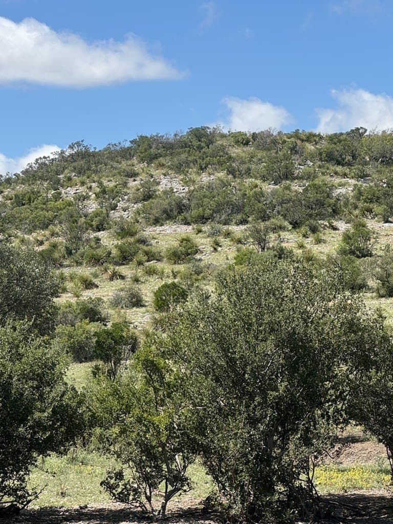 48.04 acres in Texas County - photo 4