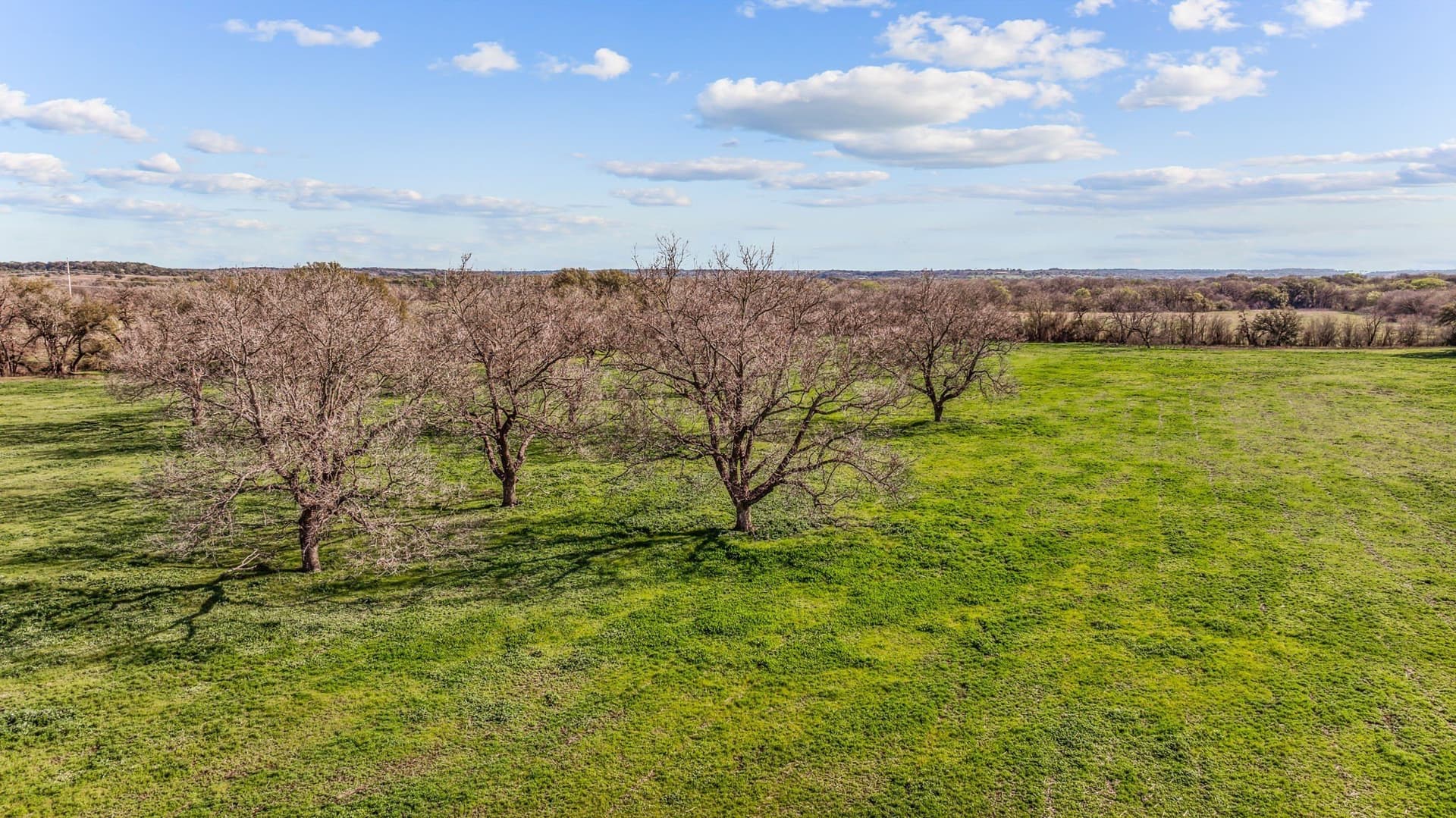 45 acres in Erath County - photo 6