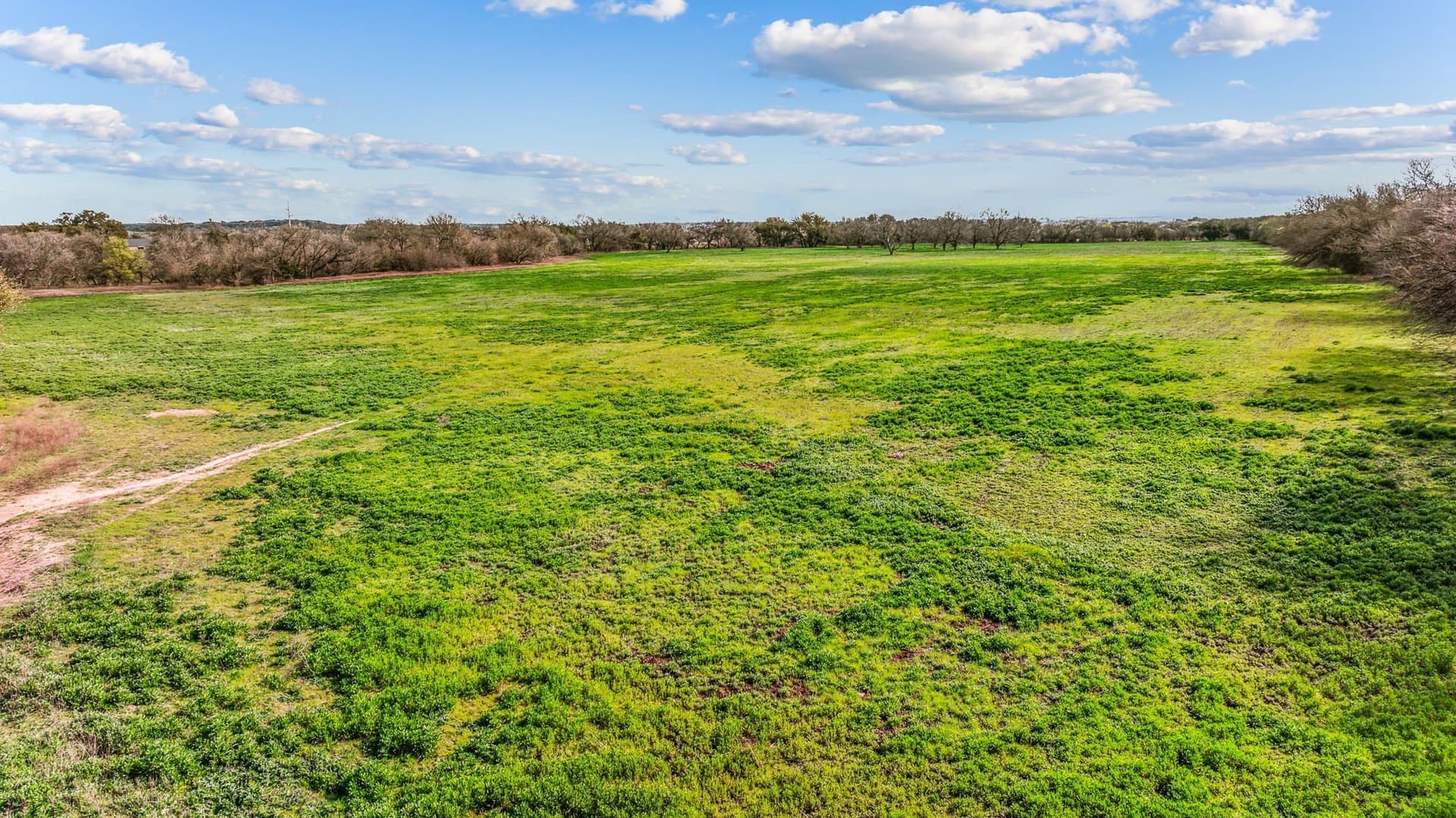 45 acres in Erath County - photo 13