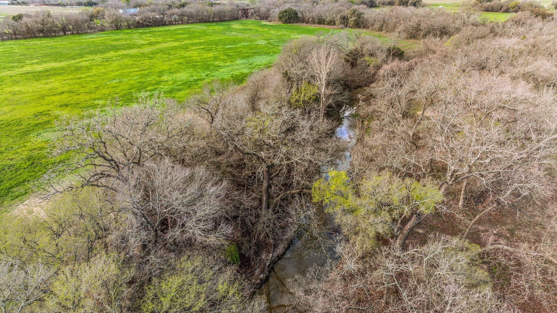 45 acres in Erath County - photo 19