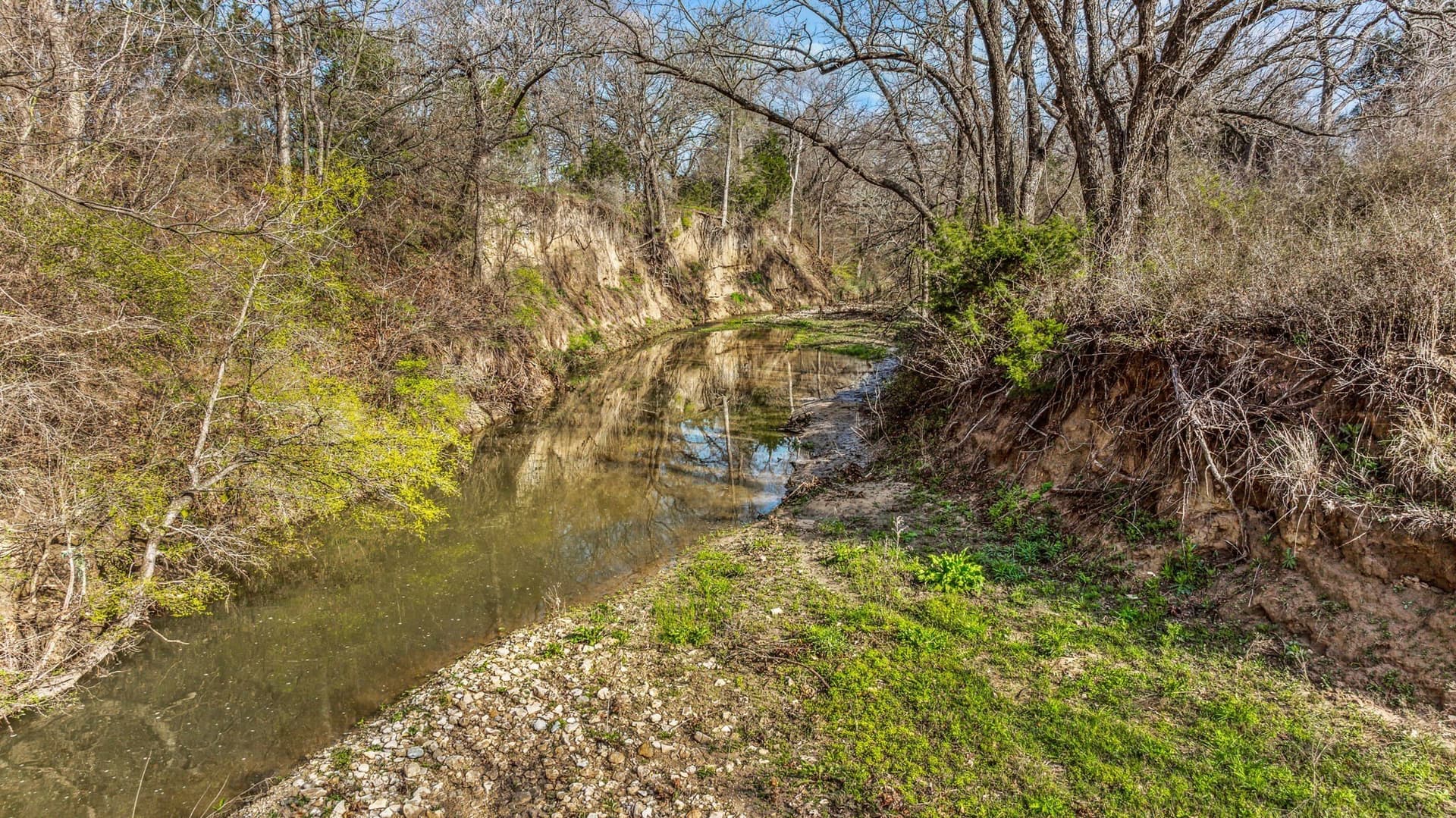 45 acres in Erath County - photo 11