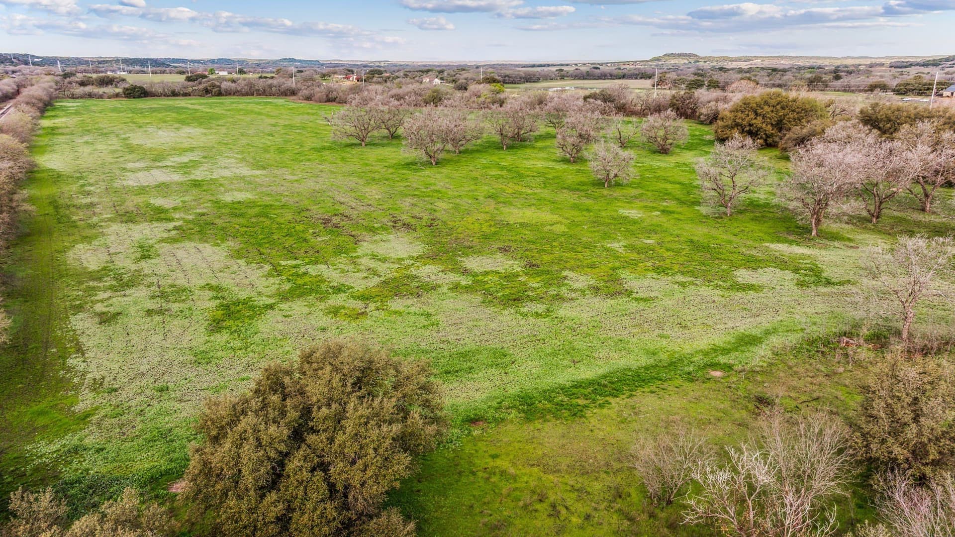 45 acres in Erath County - photo 21