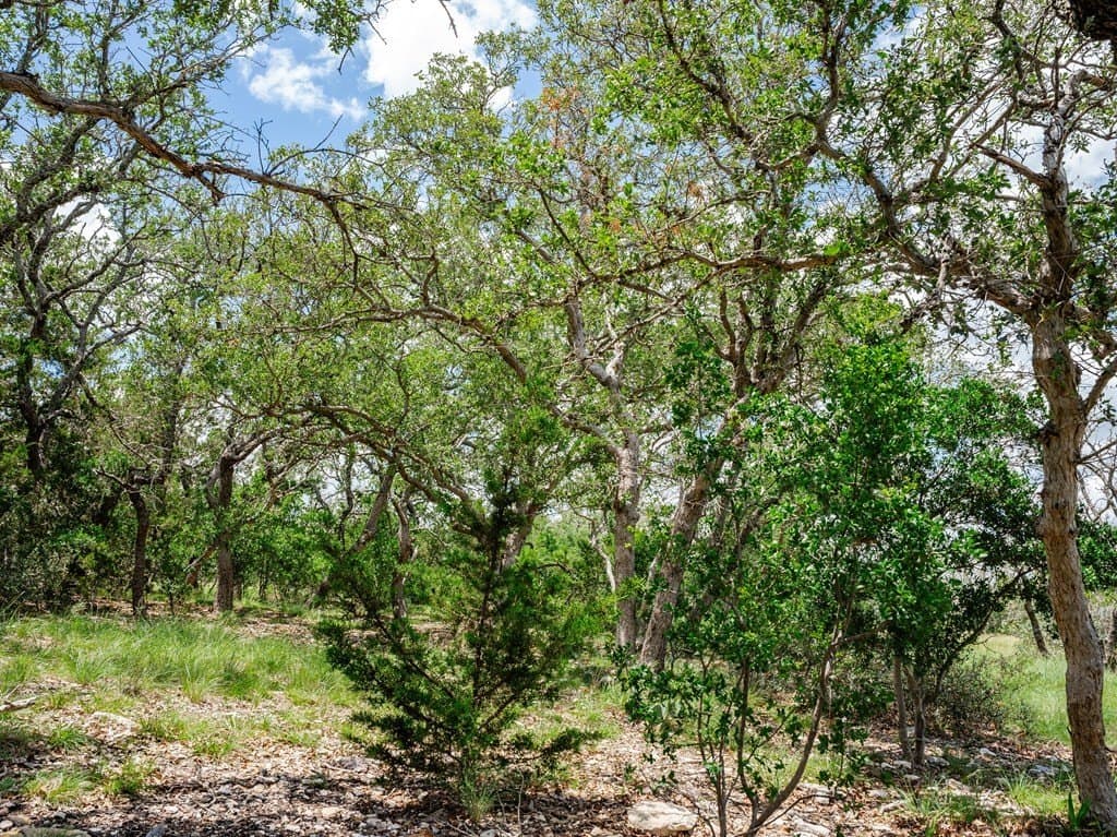 20 acres in Gillespie County - photo 16