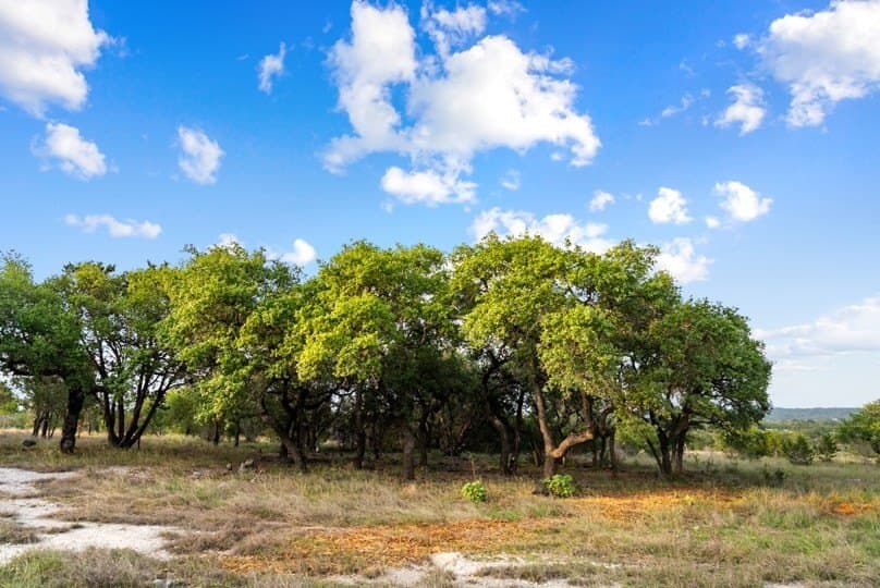 12.74 acres in Blanco County - photo 17