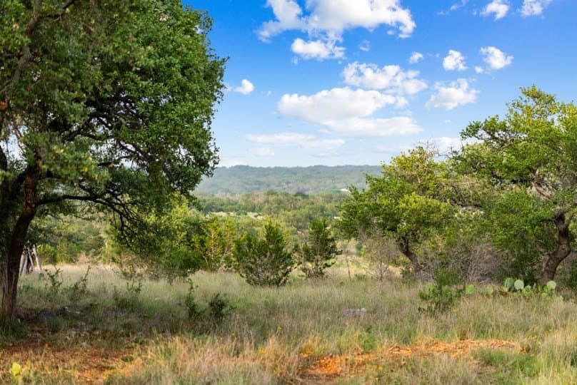 12.74 acres in Blanco County gallery image 4
