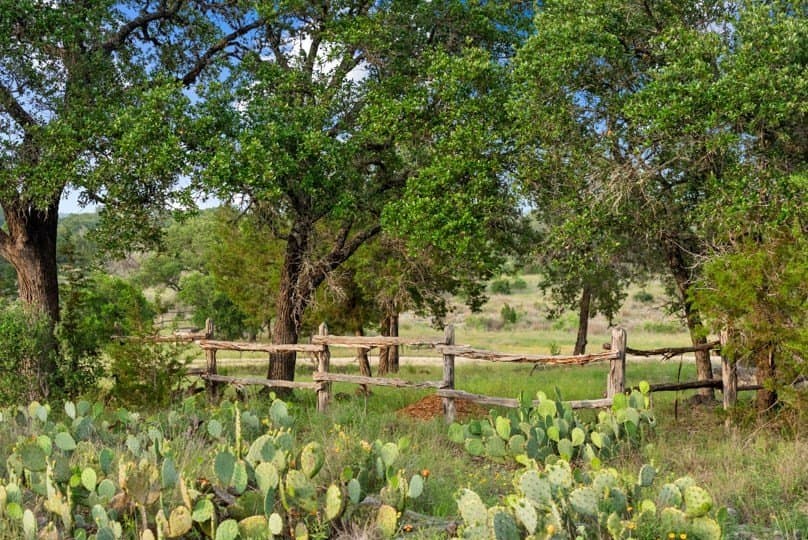 12.74 acres in Blanco County - photo 7