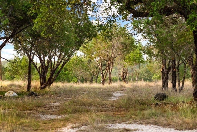 12.74 acres in Blanco County gallery image 3