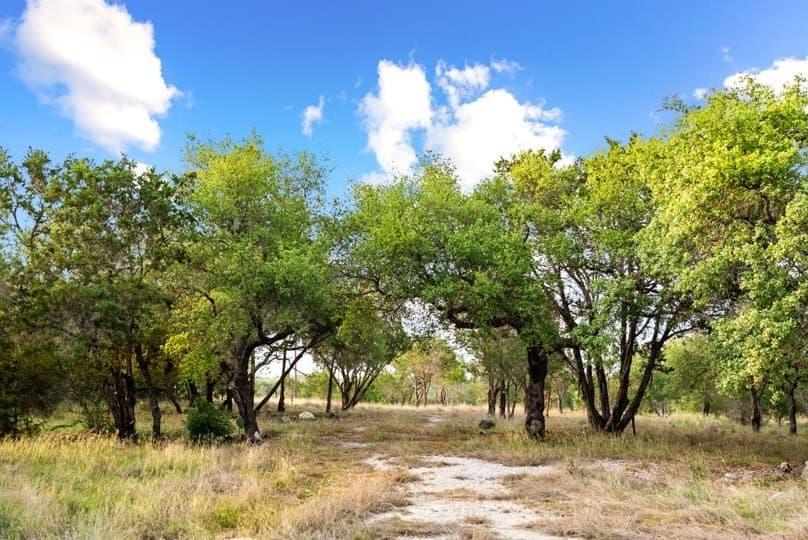 12.74 acres in Blanco County gallery image 2
