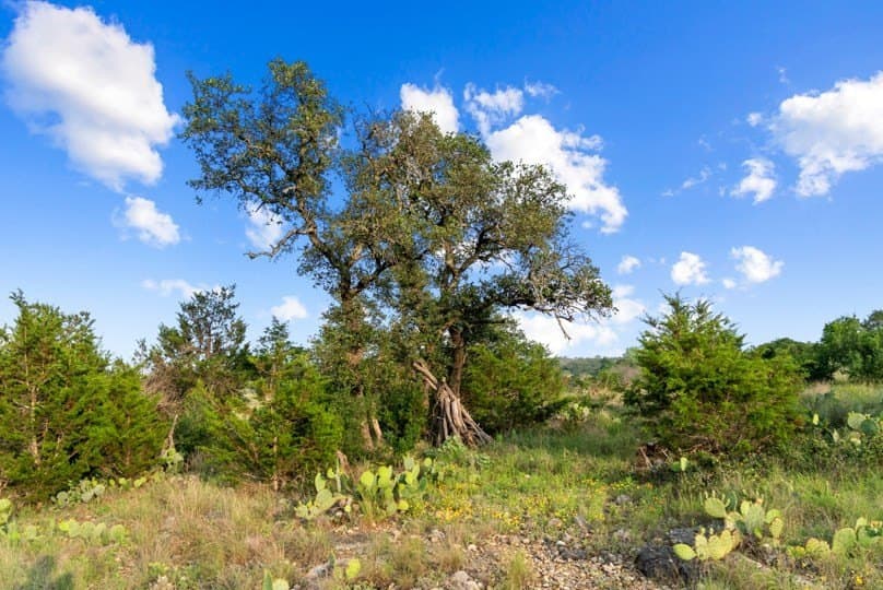 12.74 acres in Blanco County - photo 15
