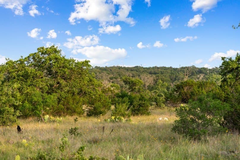 12.74 acres in Blanco County - photo 20